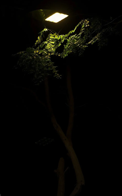 Sợ hãi là cảm giác như thế nào?